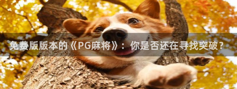 28圈ccm赏金女王：免费版版本的《PG麻将》：你是否还在寻找突破？